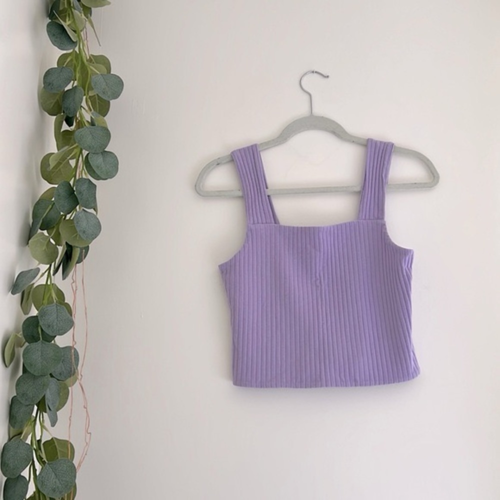 American Eagle Outfitters Lavender Ribbed Crop Top